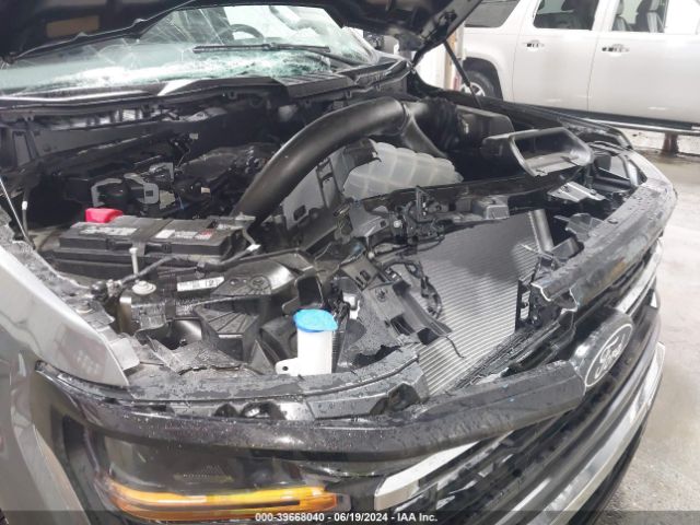 1FTFW3L89RFA46383 Ford F-150 Xlt