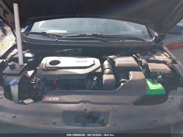 5NPE24AF9GH276538 Hyundai SONATA SE