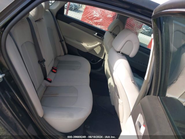 5NPE24AF9GH276538 Hyundai SONATA SE