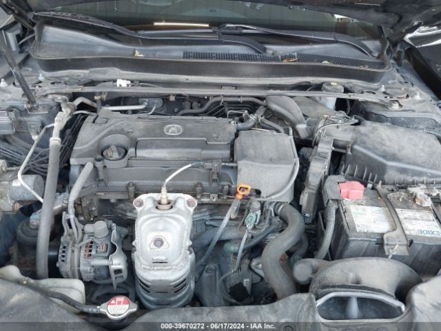 19UUB1F32FA016224 Acura TLX