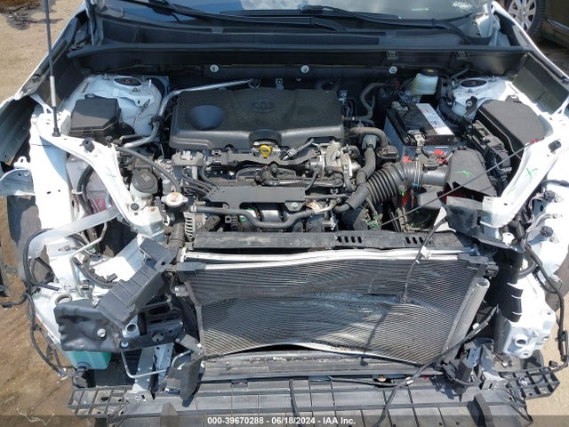 Toyota Rav4 Xle 2019 JTMP1RFV3KD029247 Image 10