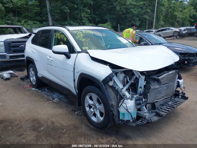 Toyota Rav4 Xle 2019 JTMP1RFV3KD029247 Image 6