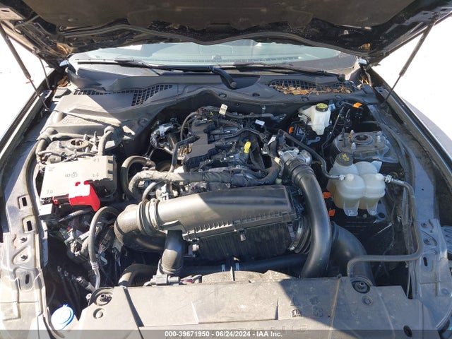 Ford Mustang Ecoboost Fastback 2024 1FA6P8TH5R5112062 Image 10