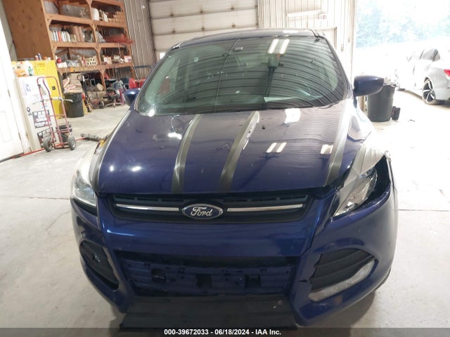 Ford ESCAPE SE 2016 1FMCU0G72GUA93865 Image 12