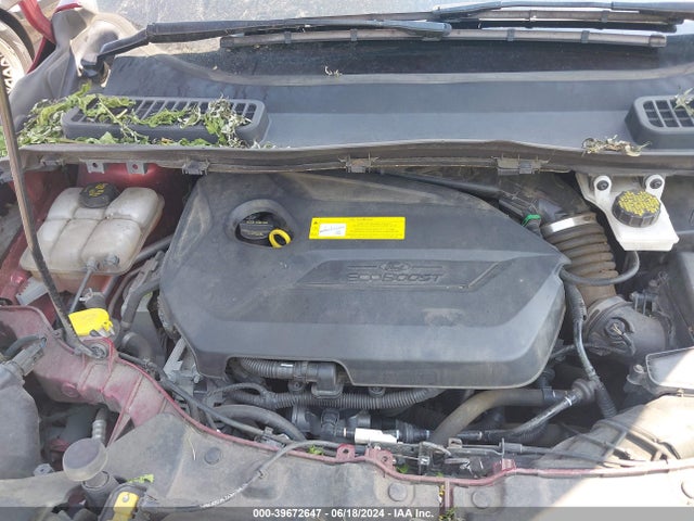 Ford ESCAPE SE 2016 1FMCU9GXXGUA25415 Image 10