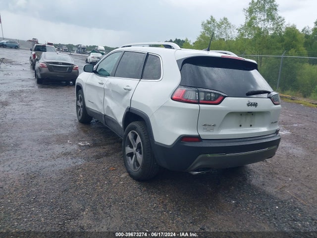 Jeep Cherokee Limited 4x4 2019 1C4PJMDX3KD217757 Image 3