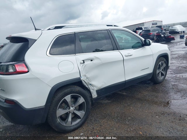 Jeep Cherokee Limited 4x4 2019 1C4PJMDX3KD217757 Image 6