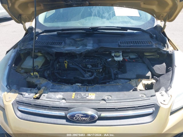 Ford ESCAPE SE 2014 1FMCU0GX4EUD38355 Image 10