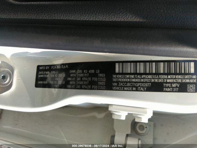 ZACCJBCT1GPD02977 Jeep Renegade Trailhawk