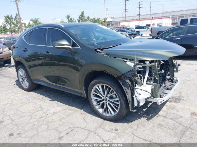 2024 LEXUS NX 2T2HGCEZ5RC033839