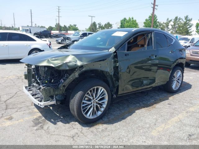 2024 LEXUS NX 2T2HGCEZ5RC033839 Photo 1