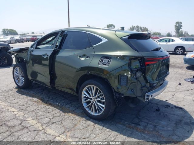 2024 LEXUS NX 2T2HGCEZ5RC033839 Photo 2