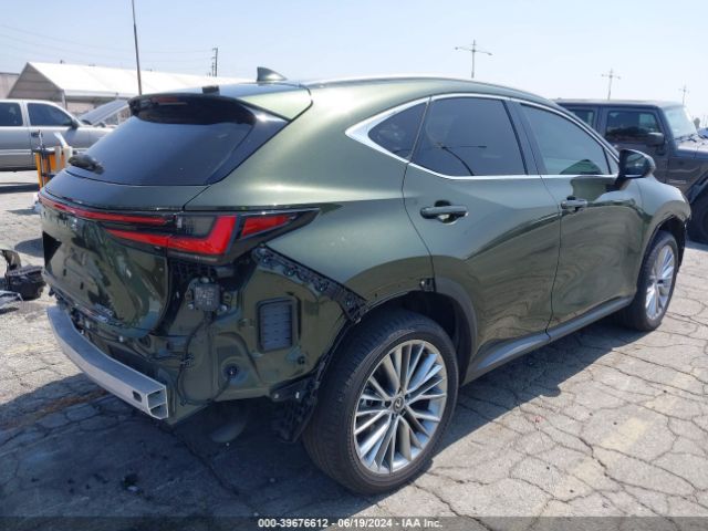 2024 LEXUS NX 2T2HGCEZ5RC033839 Photo 3