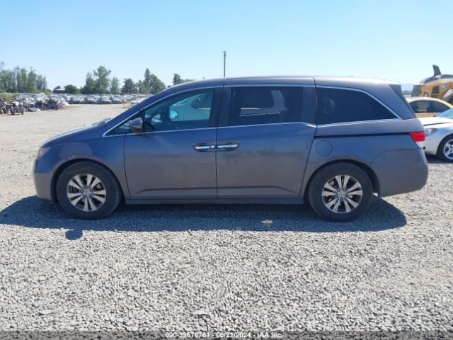 5FNRL5H32GB034902 Honda ODYSSEY SE