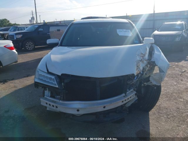 5FRYD4H25EB014407 Acura MDX