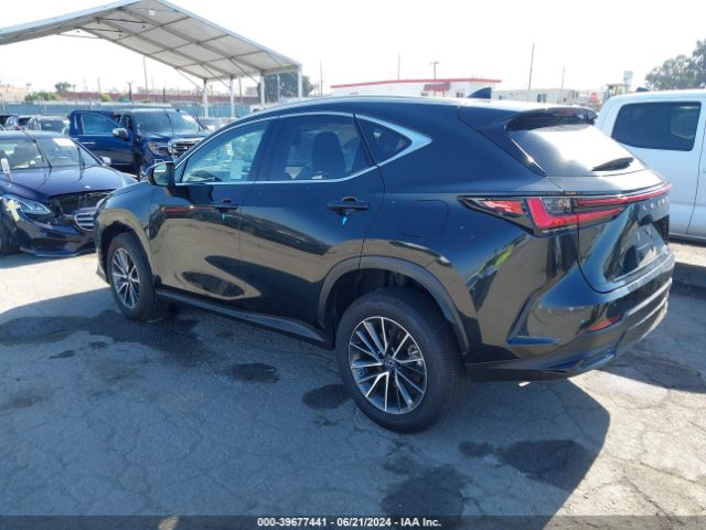 JTJAKCEZ5N2004528 Lexus NX 350H