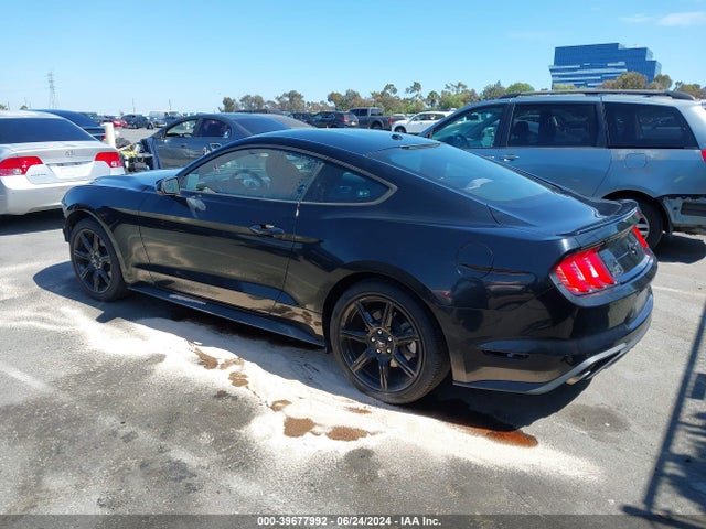Ford Mustang Ecoboost 2019 1FA6P8TH4K5153126 Image 3