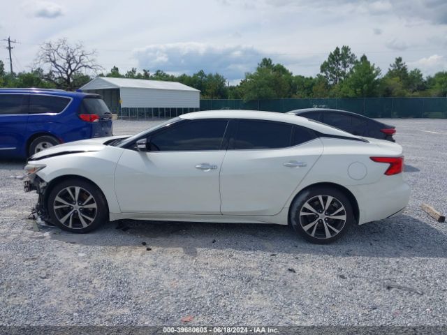 1N4AA6APXGC380981 Nissan Maxima 3.5 Sv