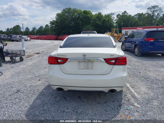 1N4AA6APXGC380981 Nissan Maxima 3.5 Sv