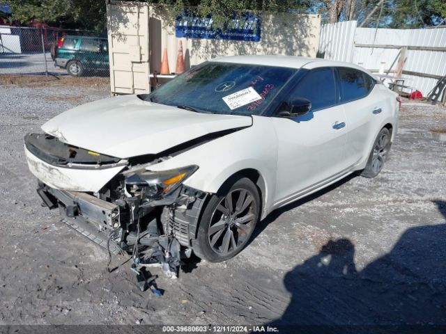 1N4AA6APXGC380981 Nissan Maxima 3.5 Sv