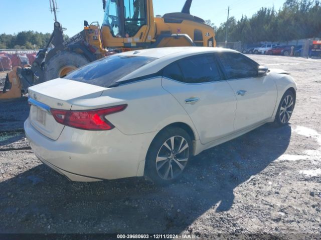 1N4AA6APXGC380981 Nissan Maxima 3.5 Sv