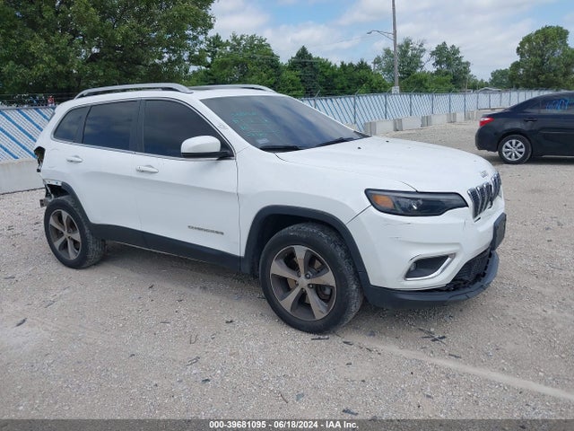 Jeep Cherokee Limited 4x4 2019 1C4PJMDN7KD123802 Image 1