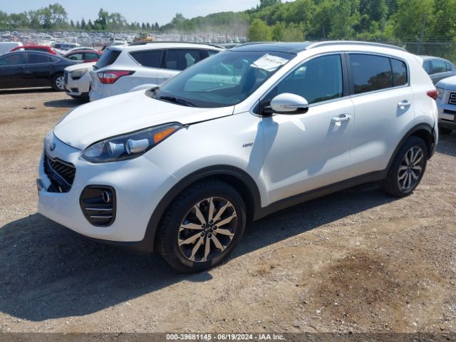 KNDPNCAC1H7255463 KIA Sportage Ex