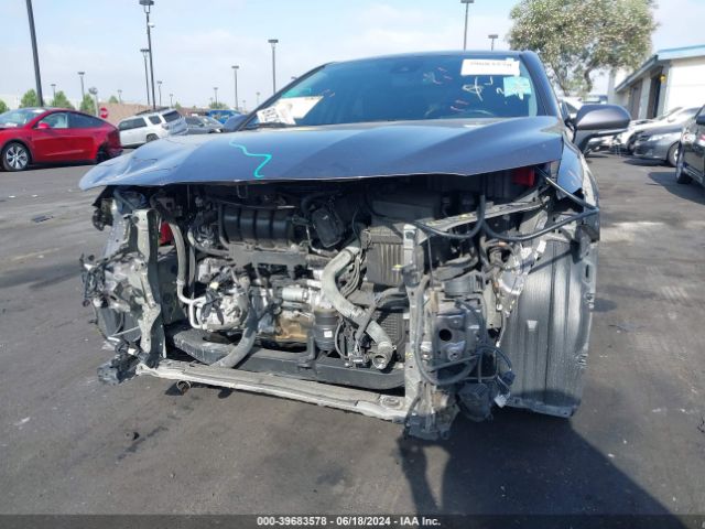 4T1T11AK1MU495111 Toyota CAMRY SE