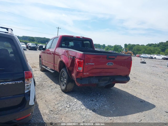 Ford F-150 Xlt 2016 1FTFW1EG0GFD15652 Image 3