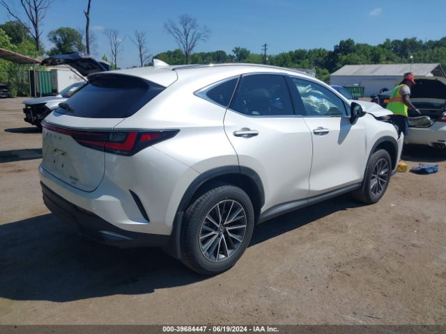 JTJAGCEZ5R5005670 Lexus NX 350