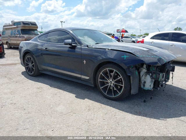Ford Mustang Ecoboost Fastback 2021 1FA6P8TH2M5109175 Image 1
