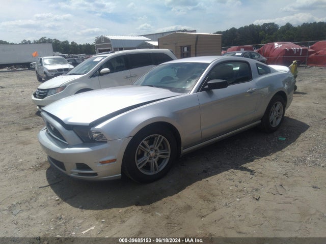 Ford Mustang V6 2014 1ZVBP8AMXE5283051 Image 2
