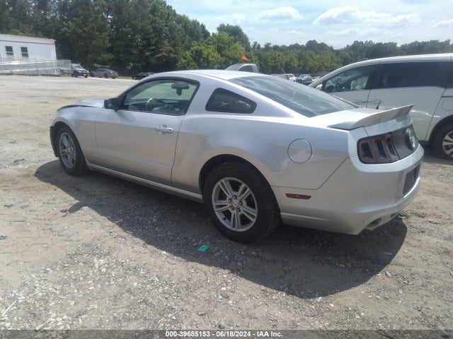 Ford Mustang V6 2014 1ZVBP8AMXE5283051 Image 3