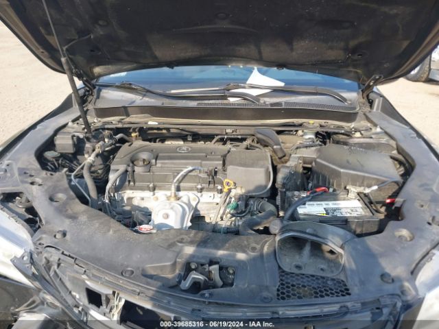 19UUB1F36FA012032 Acura TLX