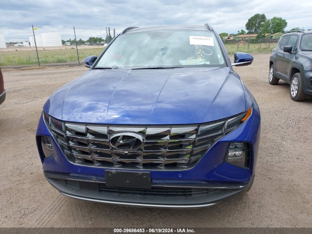 Hyundai Tucson Limited 2024 5NMJECDE3RH299459 Image 12