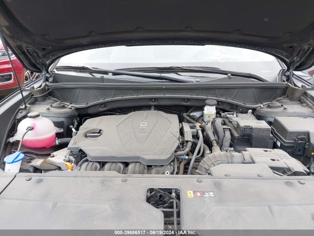 Hyundai Tucson Limited 2024 5NMJECDE7RH299691 Image 10