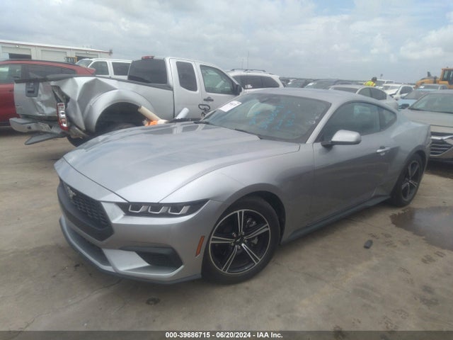 Ford Mustang Ecoboost Fastback 2024 1FA6P8TH5R5107010 Image 2