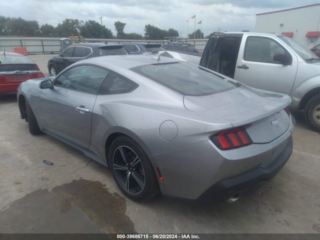 Ford Mustang Ecoboost Fastback 2024 1FA6P8TH5R5107010 Image 3