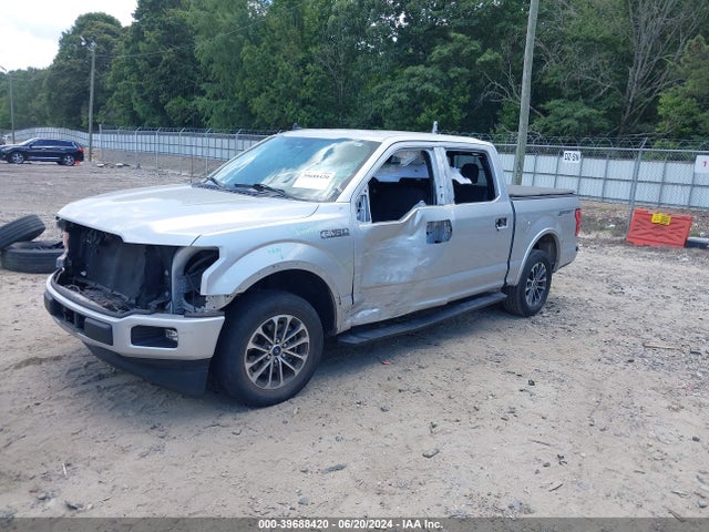Ford F-150 Xlt 2019 1FTEW1CP1KFD40812 Image 2