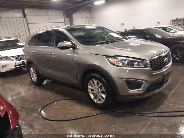 2016 5XYPGDA57GG174096 main image