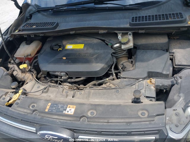 Ford ESCAPE SE 2016 1FMCU0GX3GUB19745 Image 10