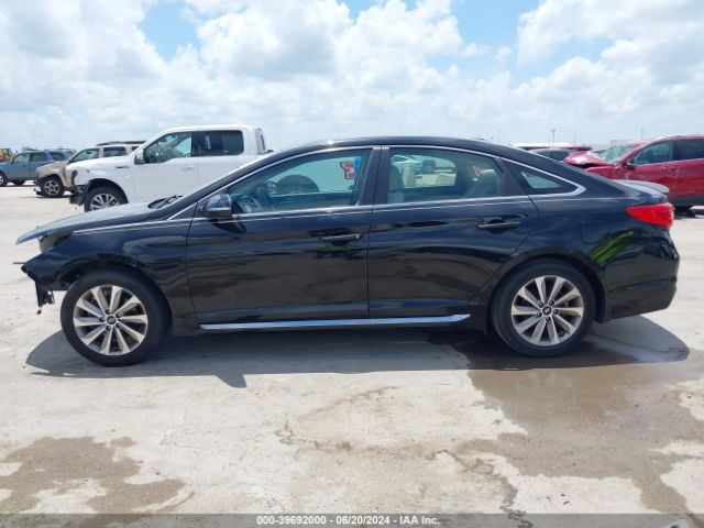 5NPE34AF1GH402694 Hyundai Sonata Sport