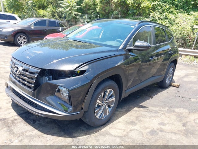 KM8JBCD15RU169564 Hyundai Tucson Hybrid Blue