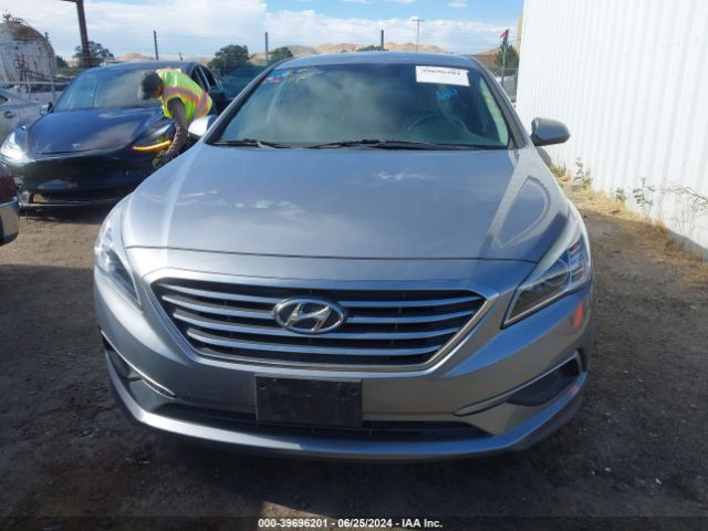 5NPE24AF4HH449514 Hyundai SONATA SE