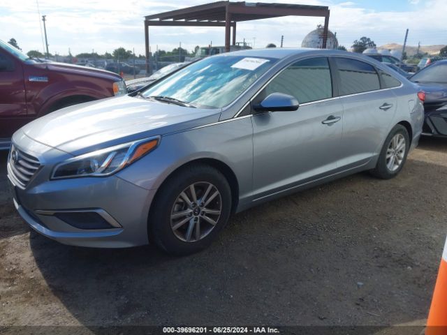 5NPE24AF4HH449514 Hyundai SONATA SE