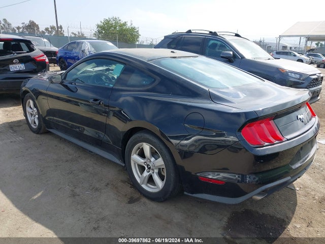 Ford Mustang Ecoboost 2019 1FA6P8TH3K5123311 Image 3