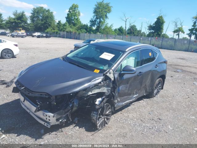 2T2AGCEZ7NC005620 Lexus NX 350