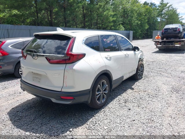 Honda Cr-v Awd Ex 2020 5J6RW2H5XLA019990 Image 4