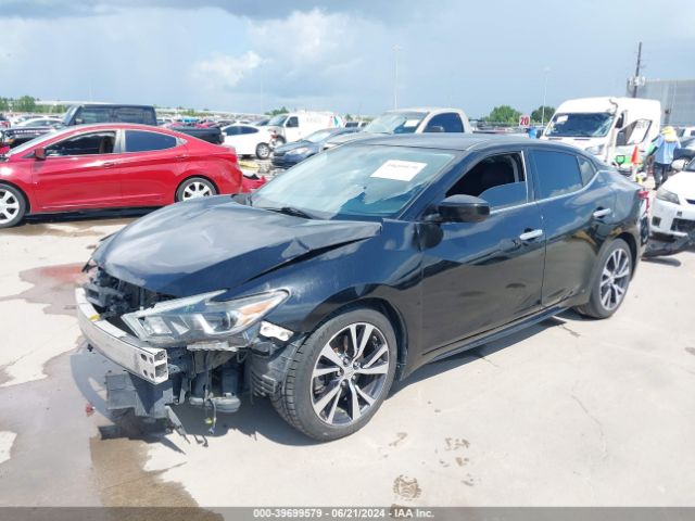 1N4AA6AP6HC394393 Nissan Maxima 3.5 S
