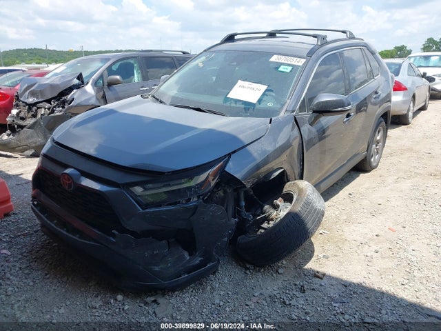 Toyota Rav4 Xle 2023 2T3P1RFV6PC342093 Image 2
